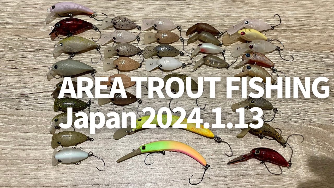 AREA TROUT FISHING 2024.1.13