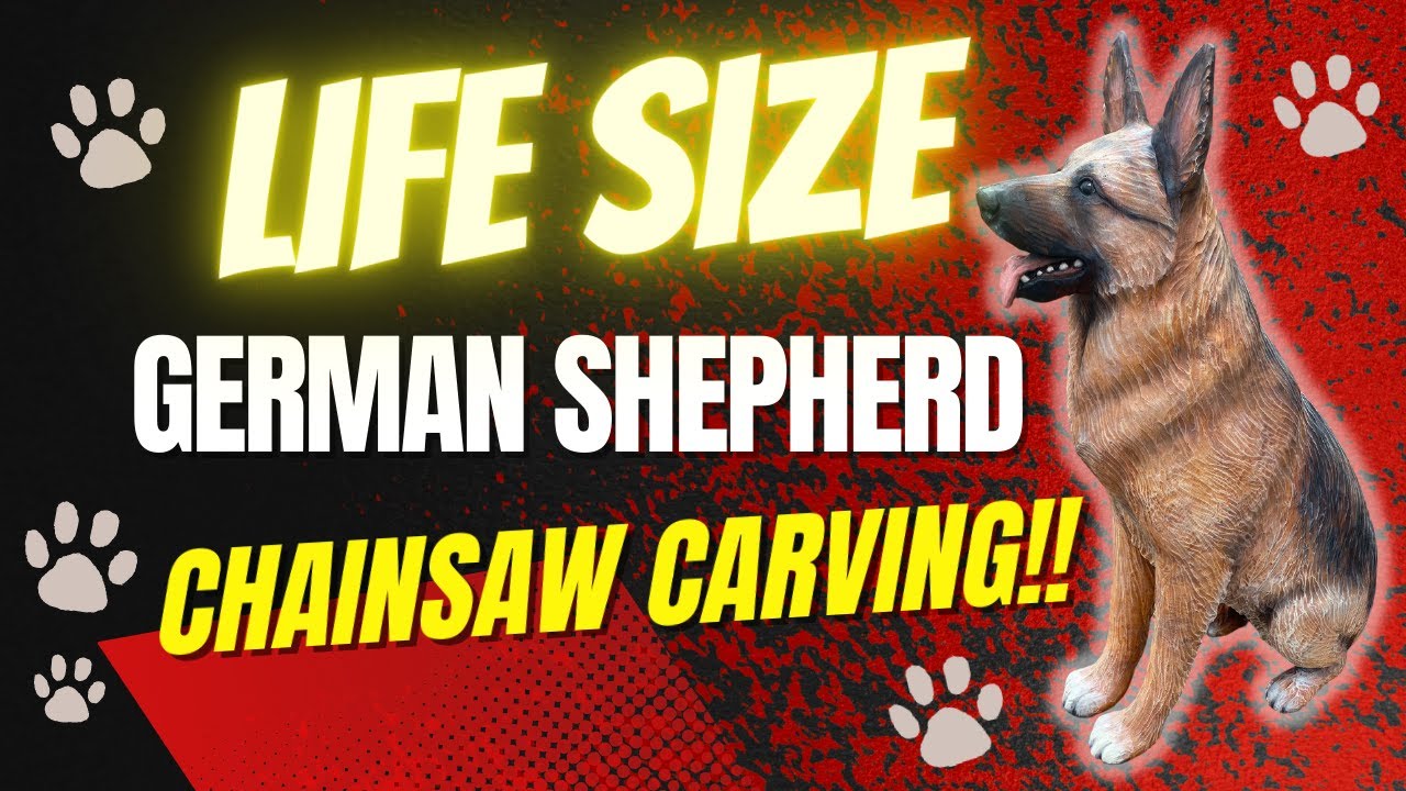 Chainsaw Carving a GERMAN SHEPHERD!! *Life Size*