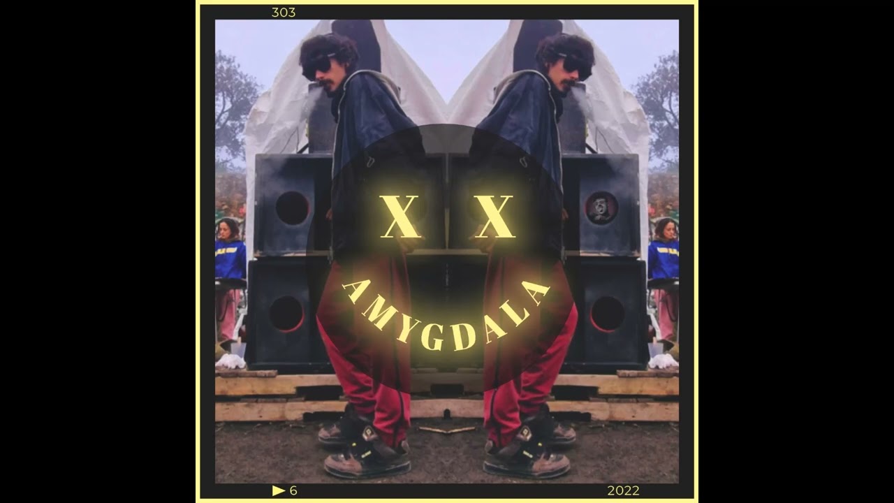 XX - AMYGDALA