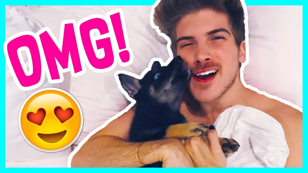 THE CUTEST PUPPY!