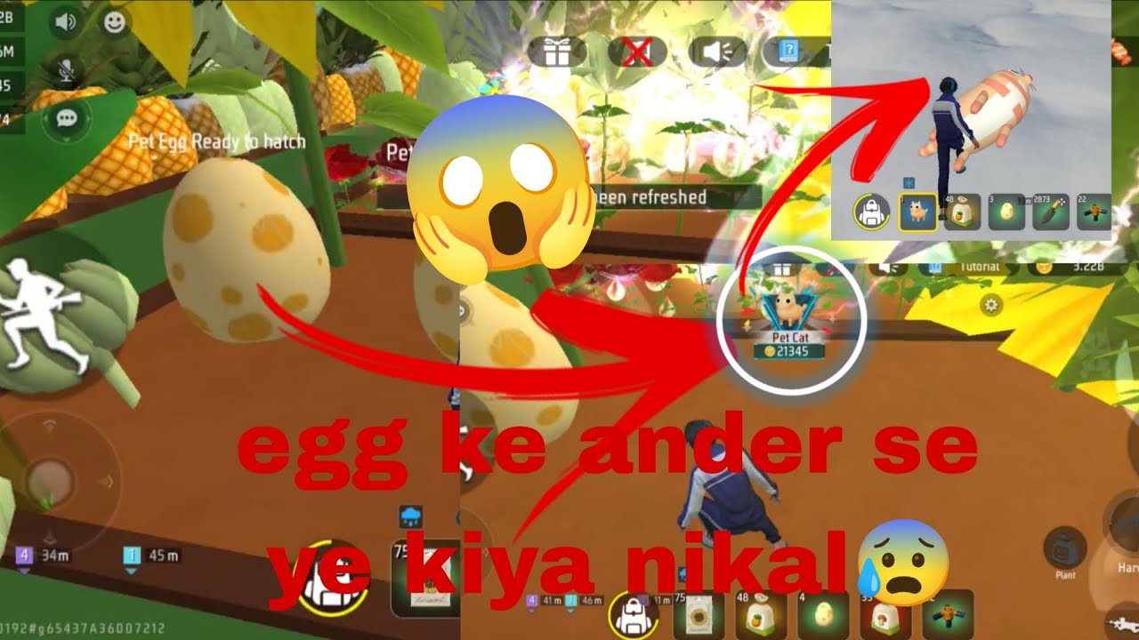 Free garden craftlend map me egg me se ye kiya nkla😱😱 by @cholagaming1Mlive 