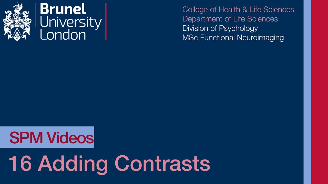 SPM Tutorial 16 - Adding Contrasts