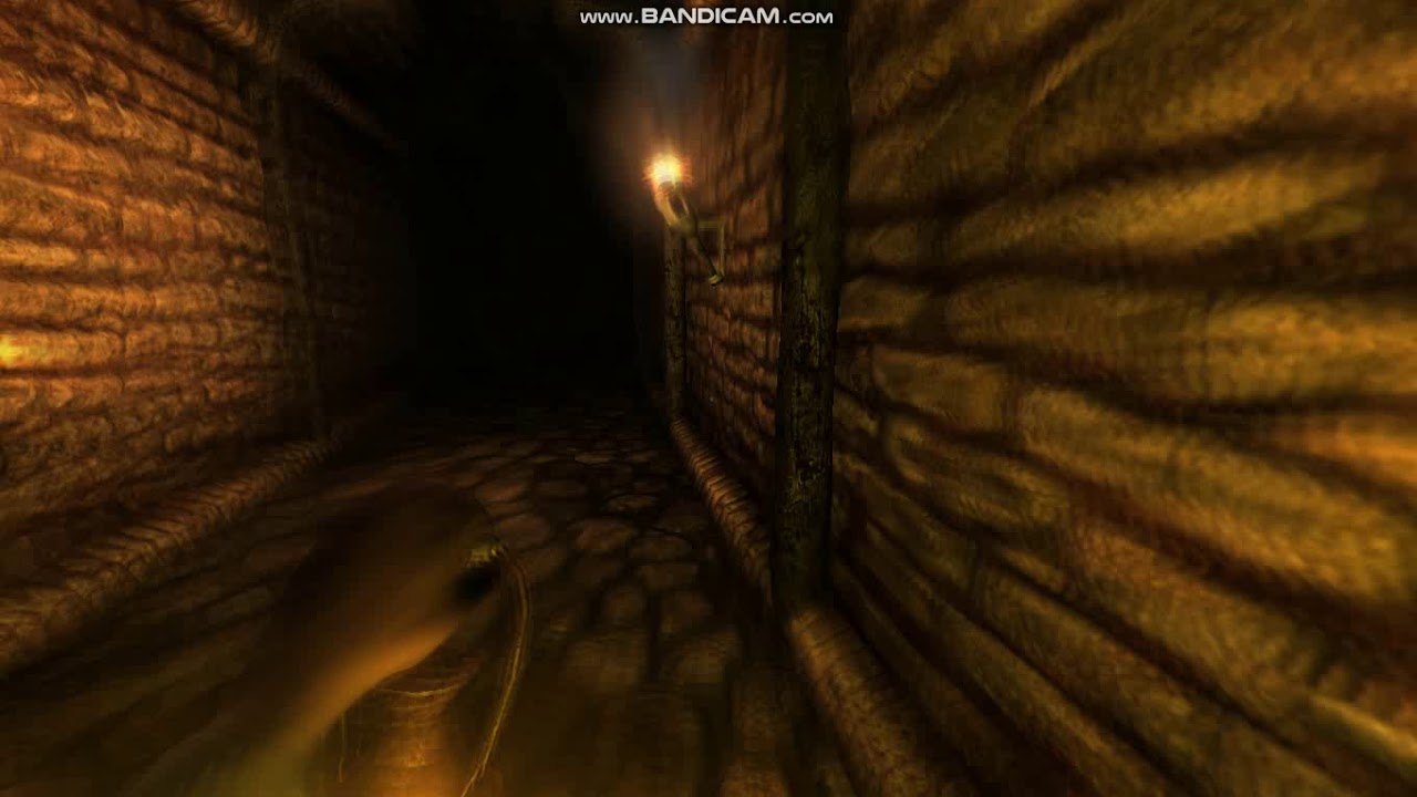 Amnesia: The Dark Descent - Shadow Chase