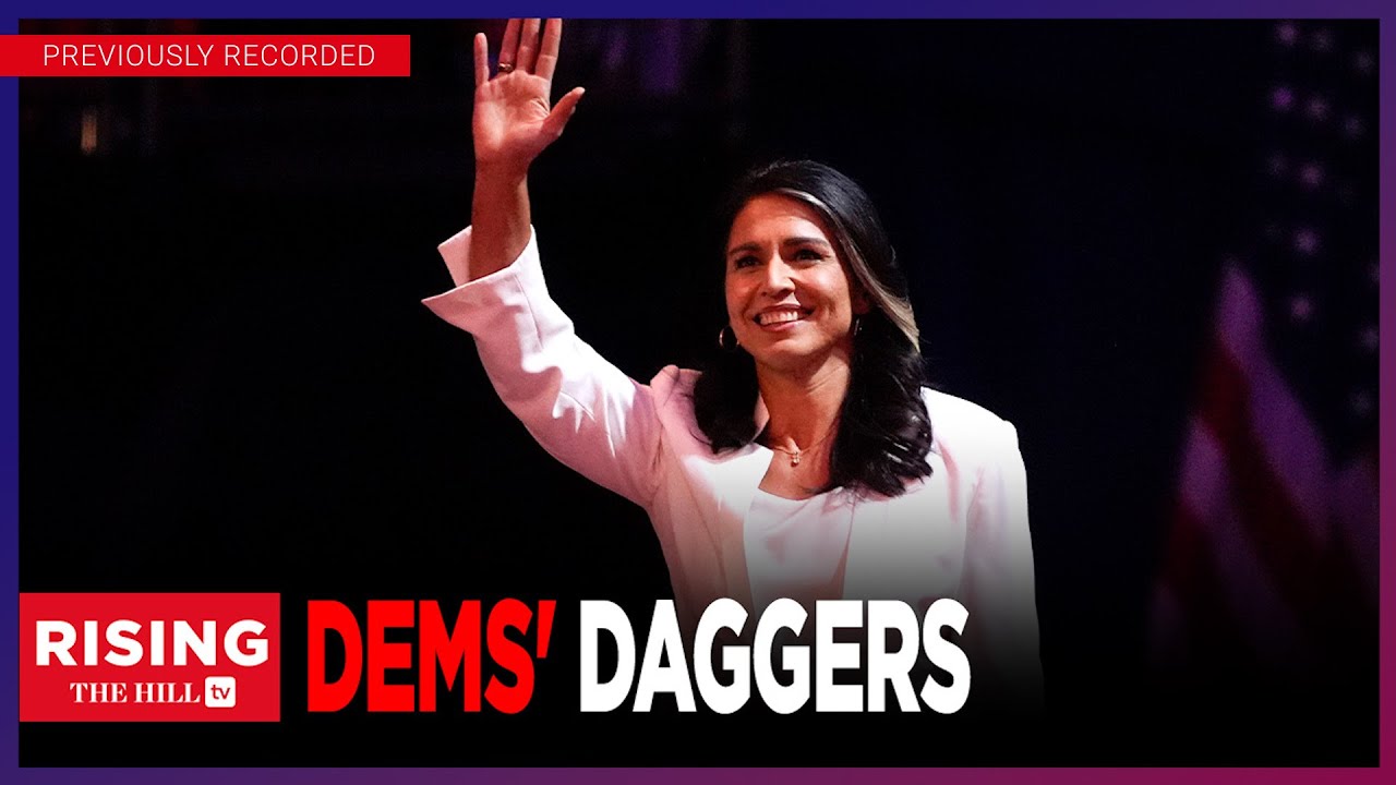 Tulsi Gabbard TERRIFIES Dems Because She'll CLEAN HOUSE At DNI: Michael Shellenberger