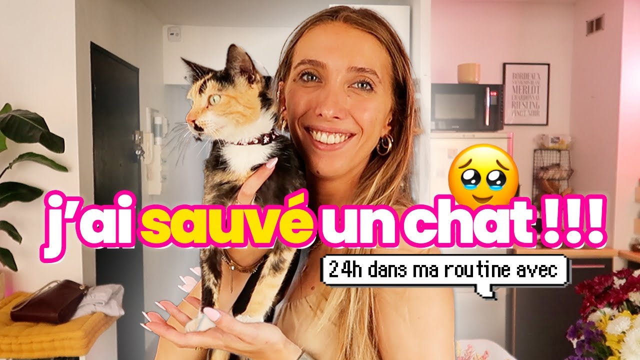 J'AI ADOPTÉ UN CHAT EN GUADELOUPE