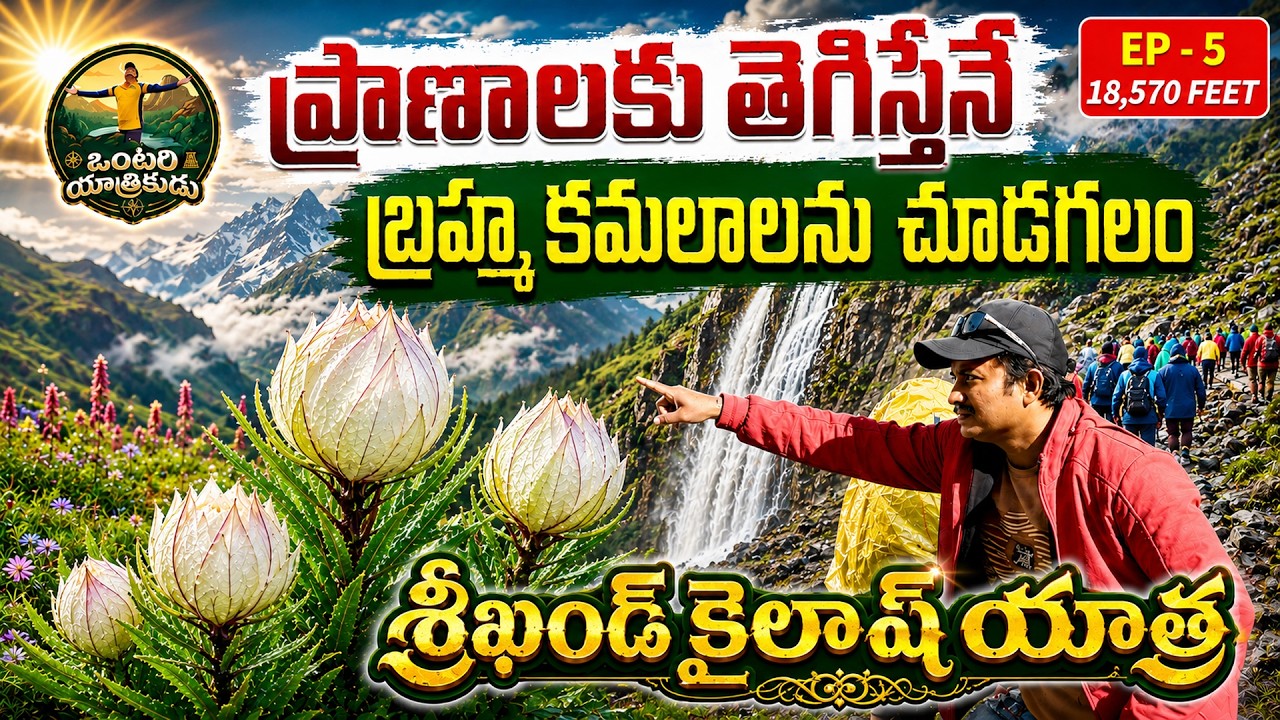 కైలాస యాత్ర. Shrikhand Mahadev kailash Yatra I #shrikhandmahadev Travel Guide. kailash yatra
