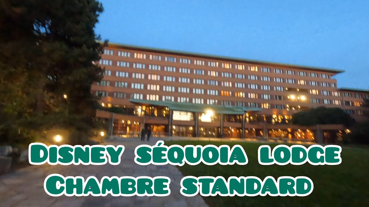 Disney sequoia lodge chambre standard et petit déjeuner 