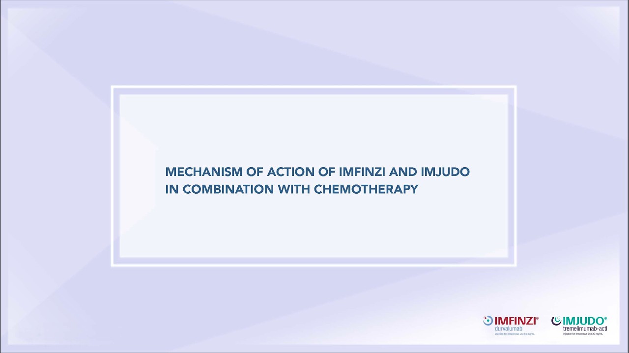 MOA of IMFINZI in 1L mNSCLC