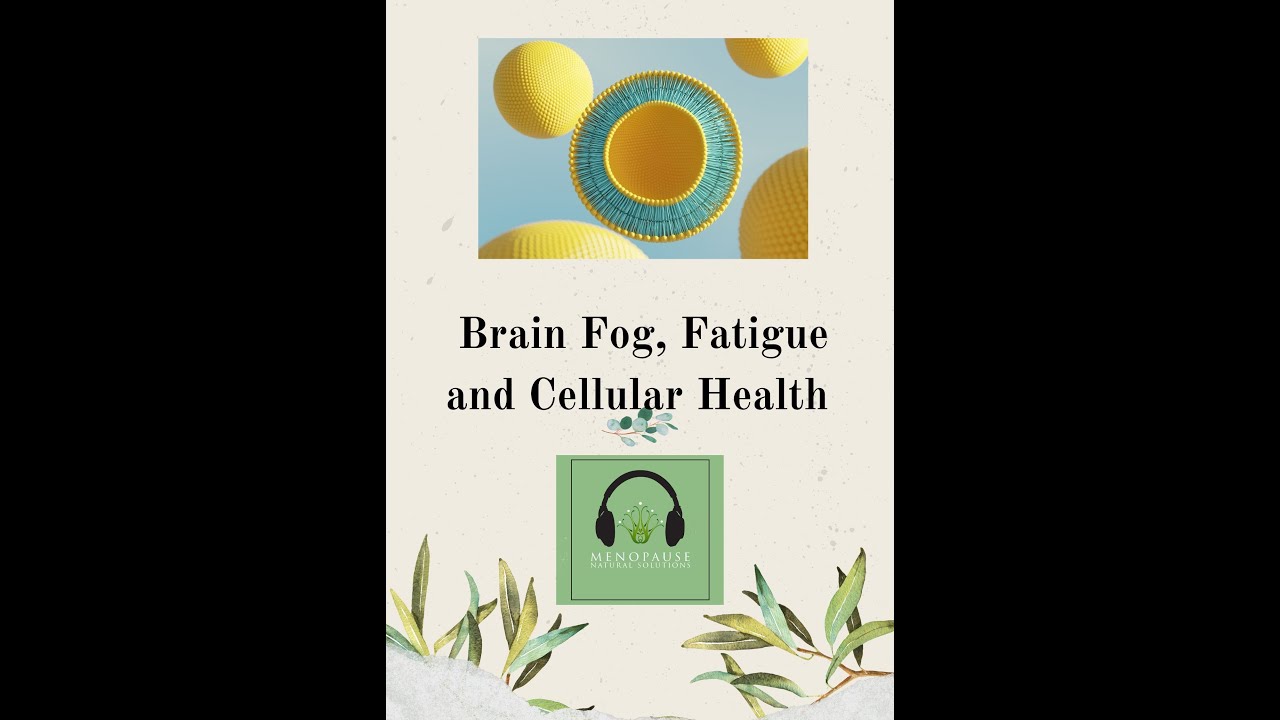 Brain Fog, Fatigue and Cellular Health