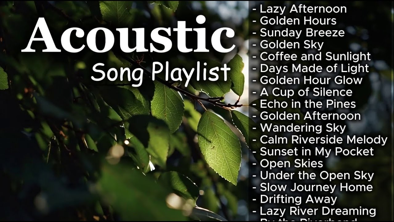 Best Soft Romantic Acoustic Songs Vol 【1191】