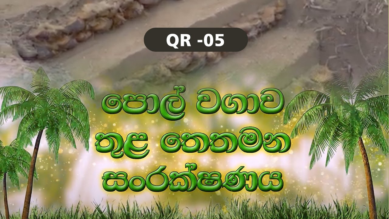 QR 05 - පොල් වගාව තුළ තෙතමන සංරක්ෂණය