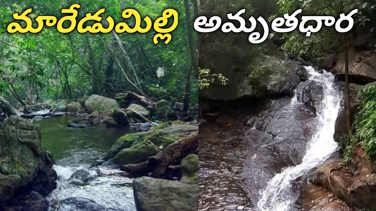 Maredumilli Episode 2 | Amruthadhara waterfalls | View Points | The Telugu Vlogger