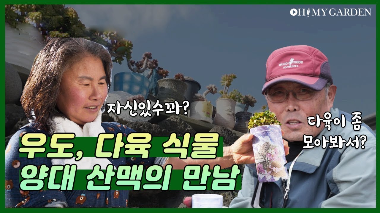 [정원의 발견] 우도 할아버지 다육이 사랑 Grandfather's Love of Succulents  | KBS제주 20201211 방송
