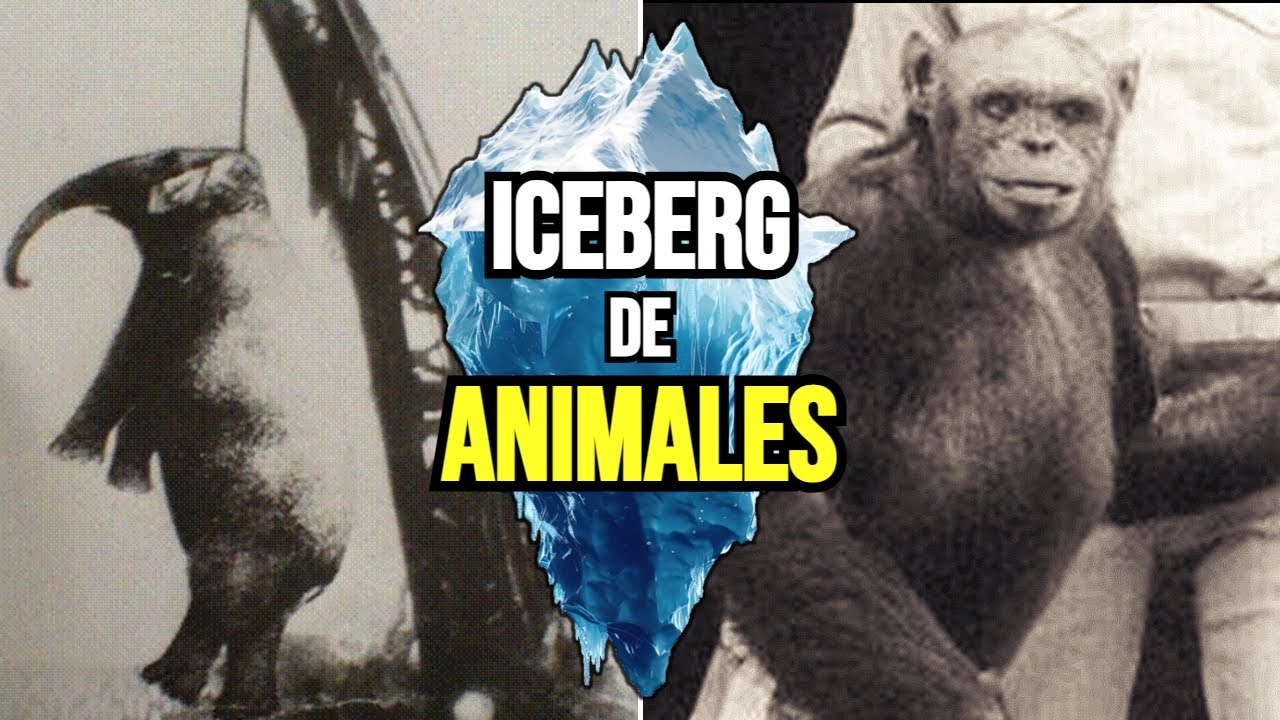 EL ICEBERG de CASOS OCURRIDOS con ANIMALES