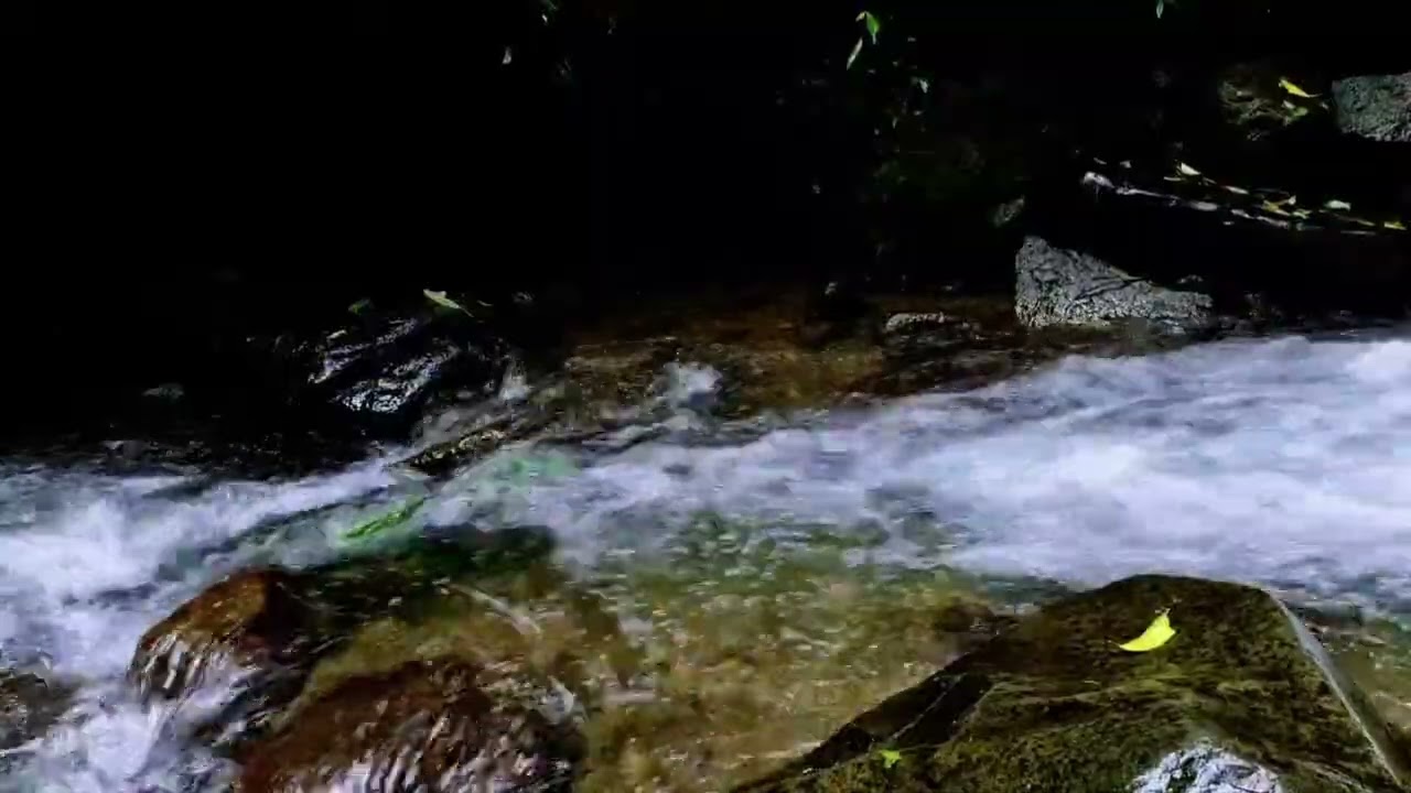 Pure River Sounds for Deep Sleep 🌊 No Music, Just Flowing Water (10 Hours)