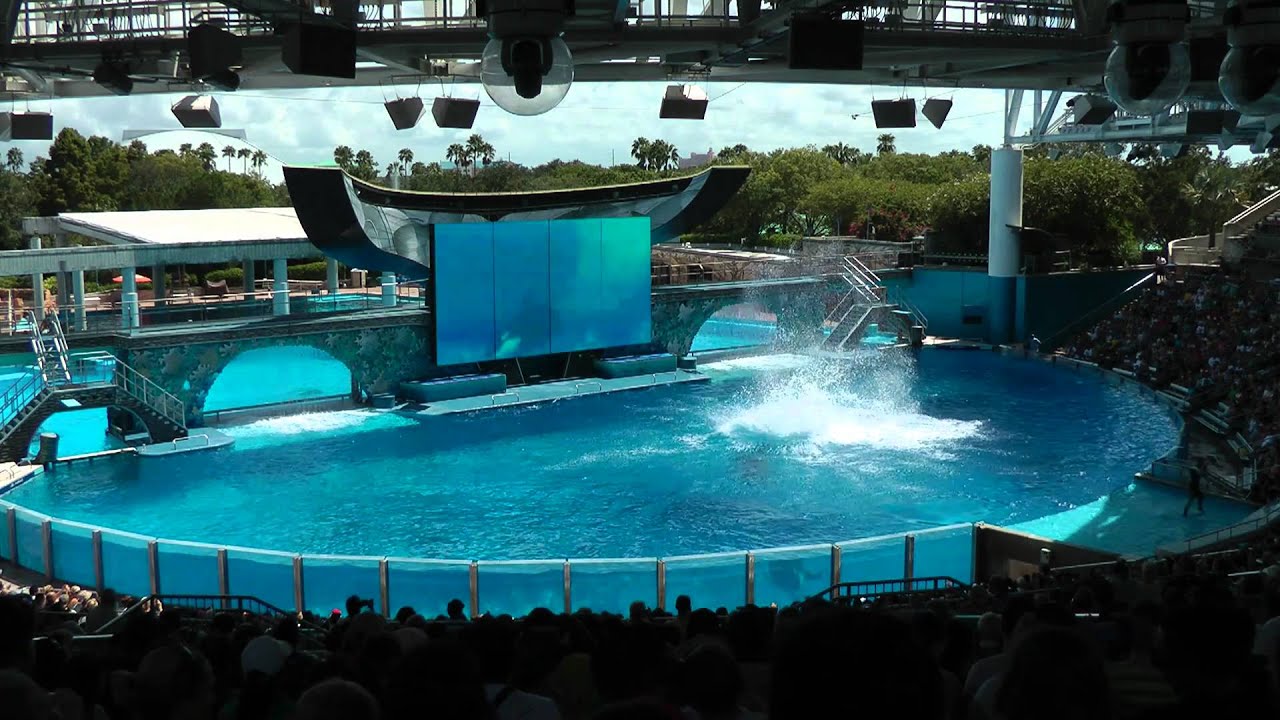 Shamu - I Believe full show - Sea World