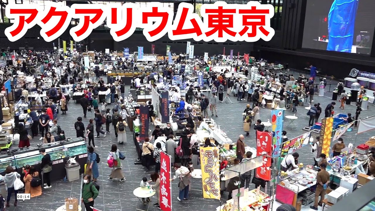 日本最大の観賞魚イベント、アクアリウム東京が楽し過ぎた・・・！