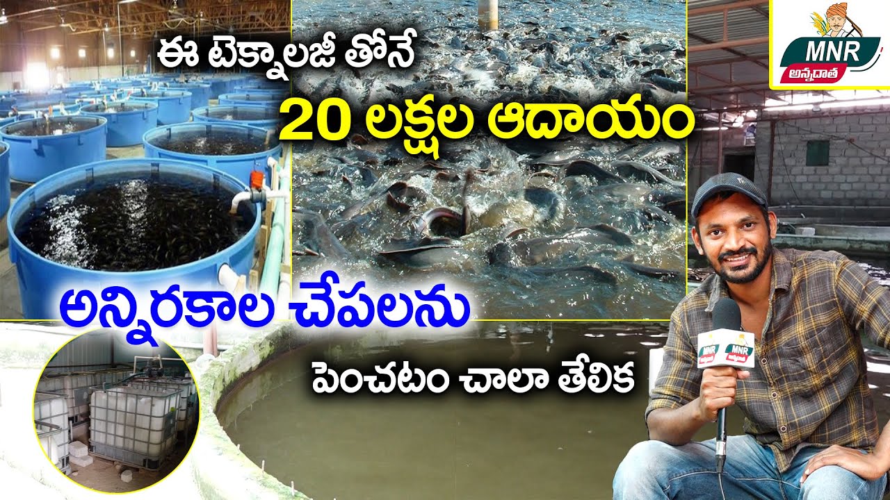 RAS పద్ధతిలో చేపల పెంపకం - లక్షల్లో లాభాలు | Young Farmer Fish Farming Success Story | MNR Annadatha
