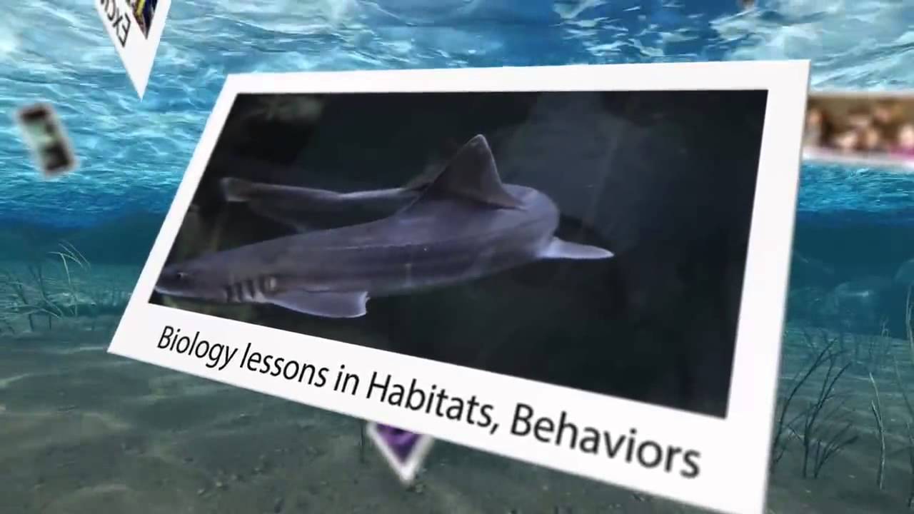 Austin Aquarium Field Trips