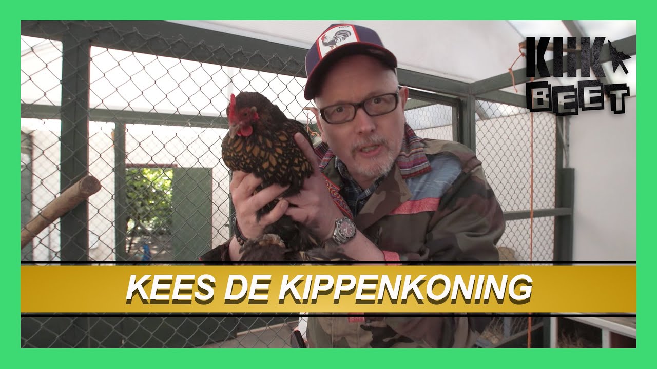 Kees de Kippenkoning | Klikbeet