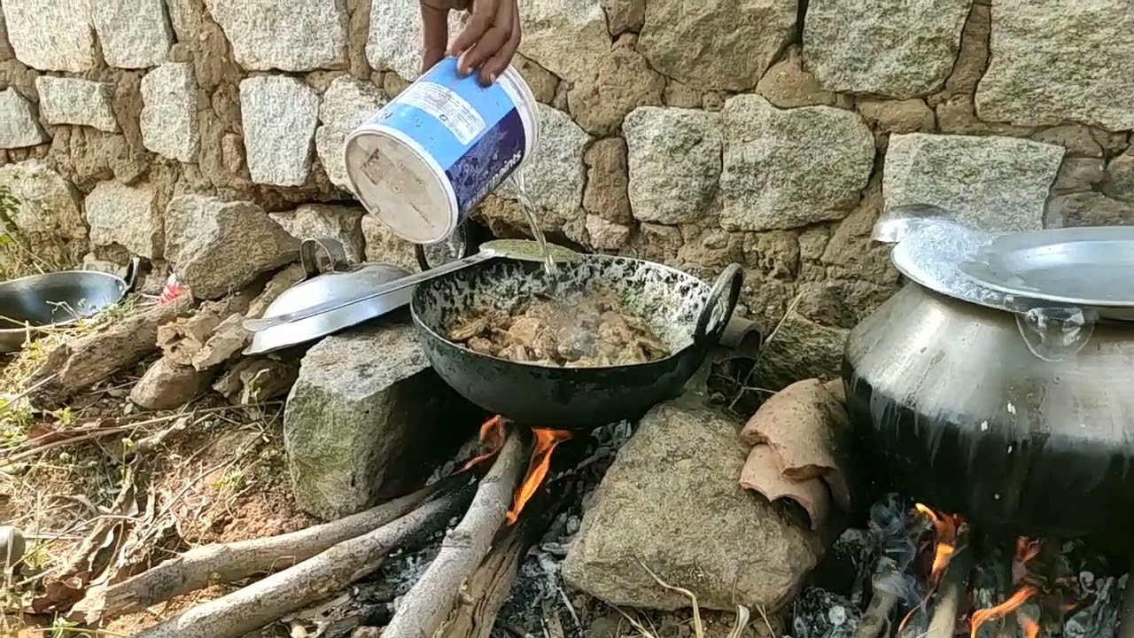 Picnic , murga bhat