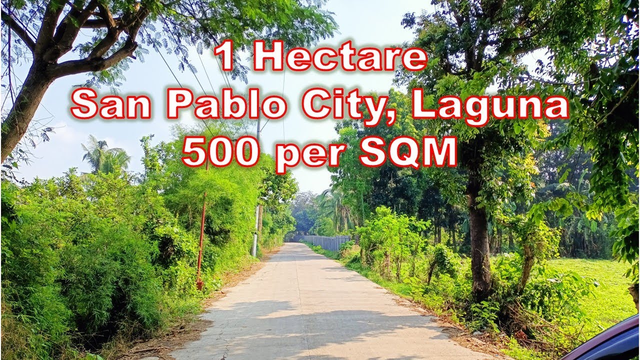 1 HECTARE FARM LOT FOR SALE (PROP#173) San Pablo City, Laguna
