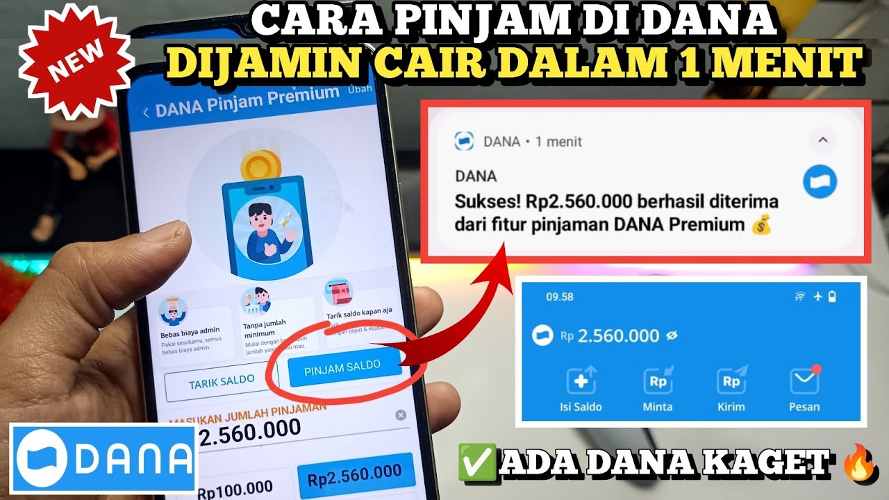 Resmi OJK!!! Pinjam Saldo DANA Tanpa Dana Paylater Dana Cicil | Cara Pinjam Uang Dana Cair 1 Menit