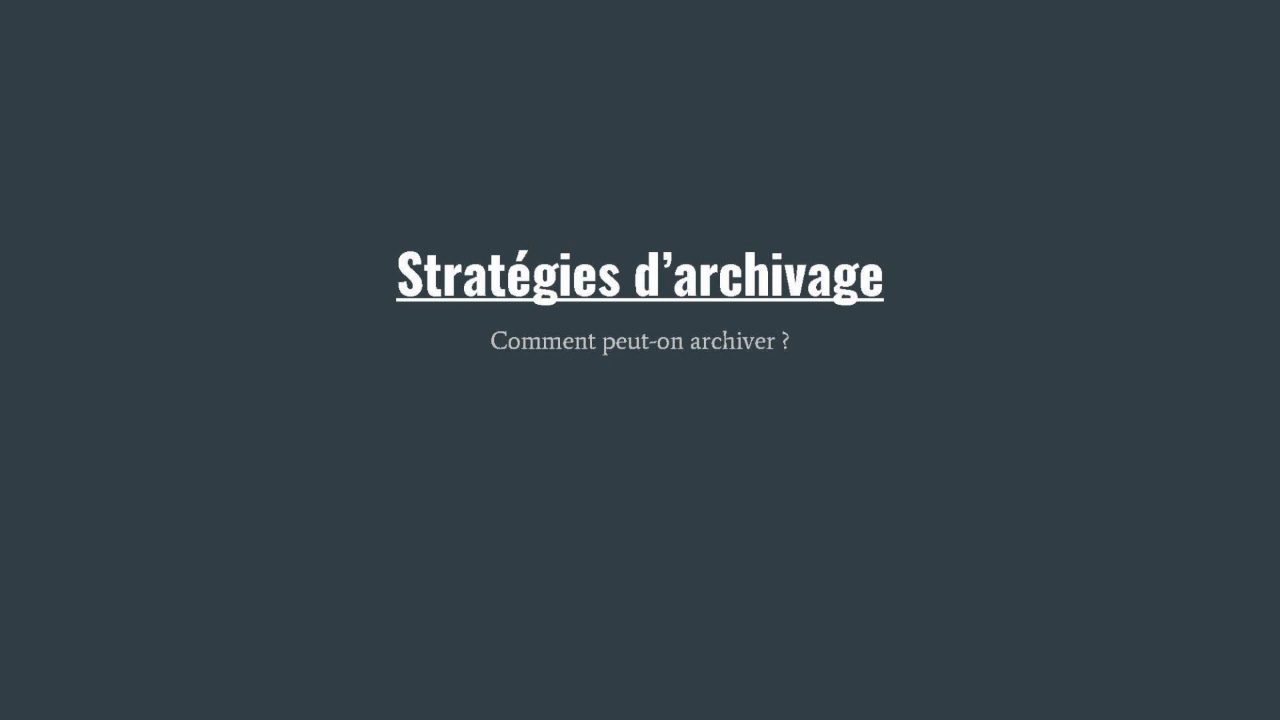 Sylvain Aubé et Robin Varenas - Mémoire numérique : stratégies d'archivage du web (24 mai 2017)