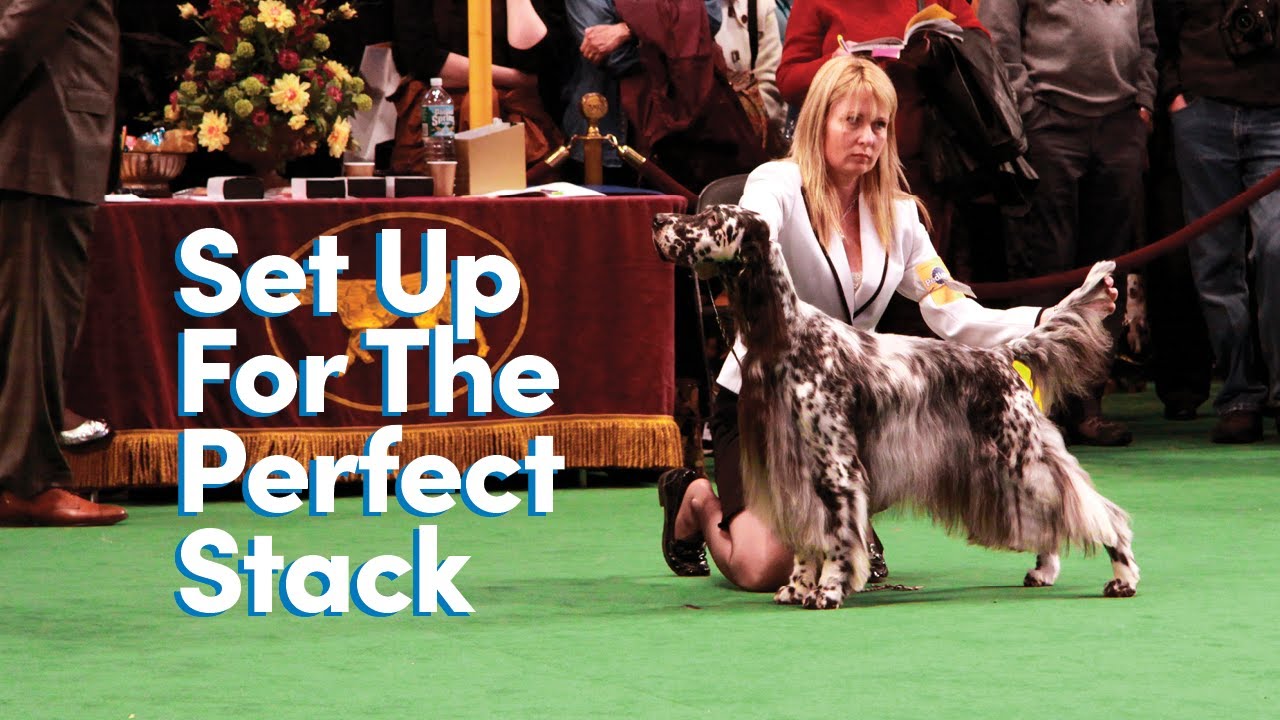 Setting Up for the Perfect Stack