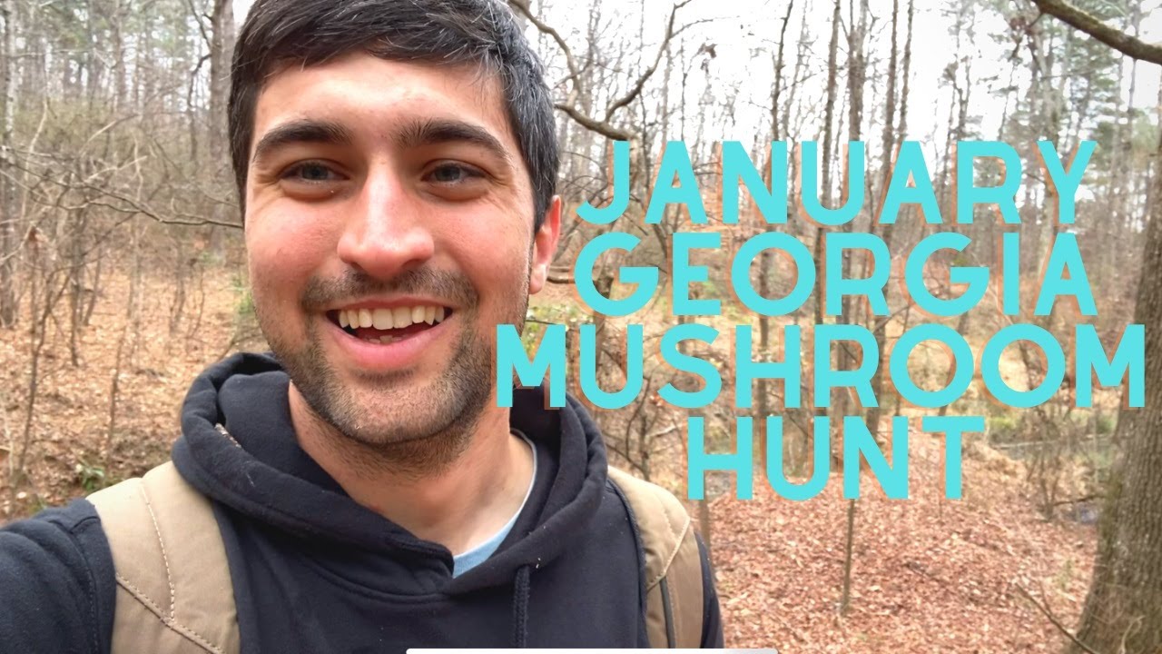 Winter Mushroom Hunt in North Georgia | Mushroom Identification
