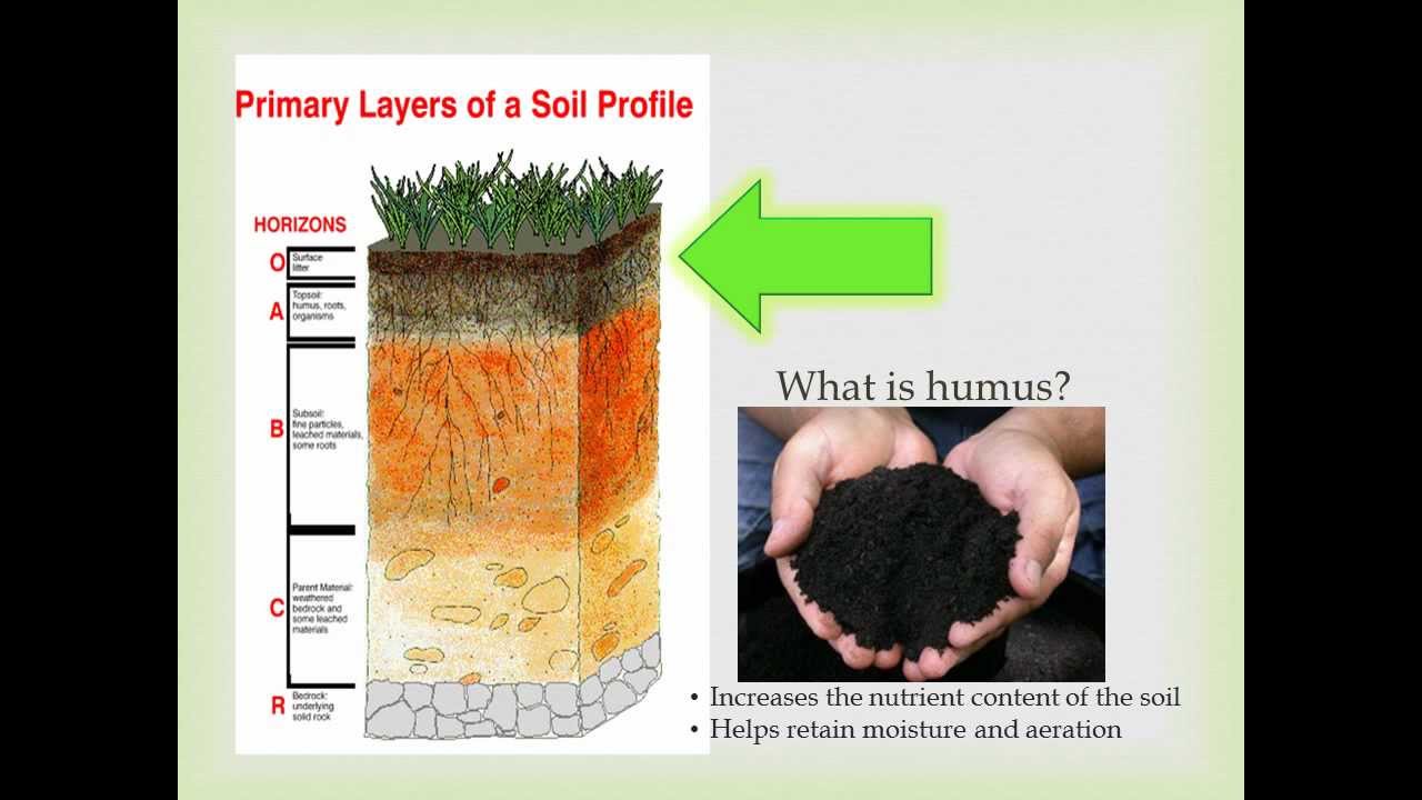 The Benefits of Composting