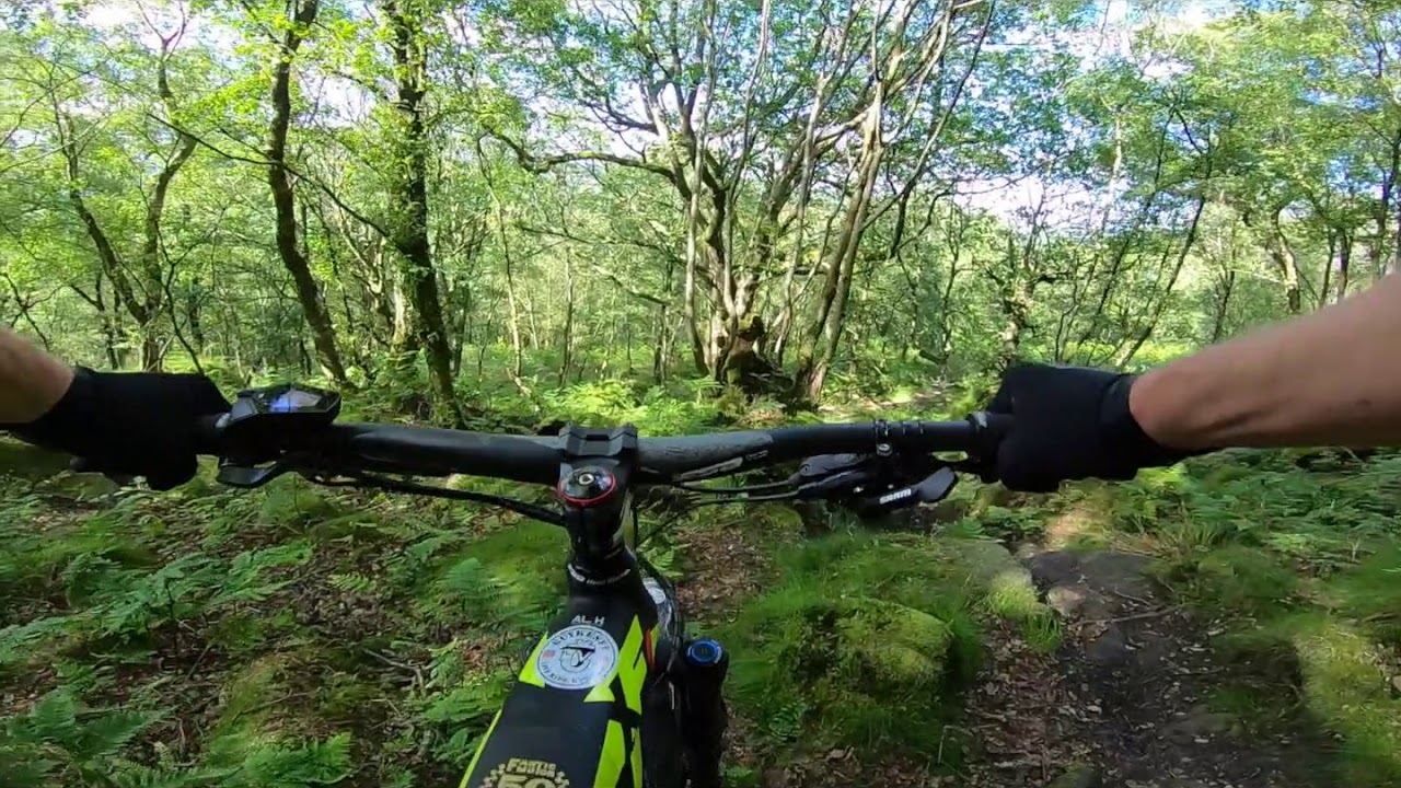 Fantic XF1 Integra 160 Race eMTB Live ride review