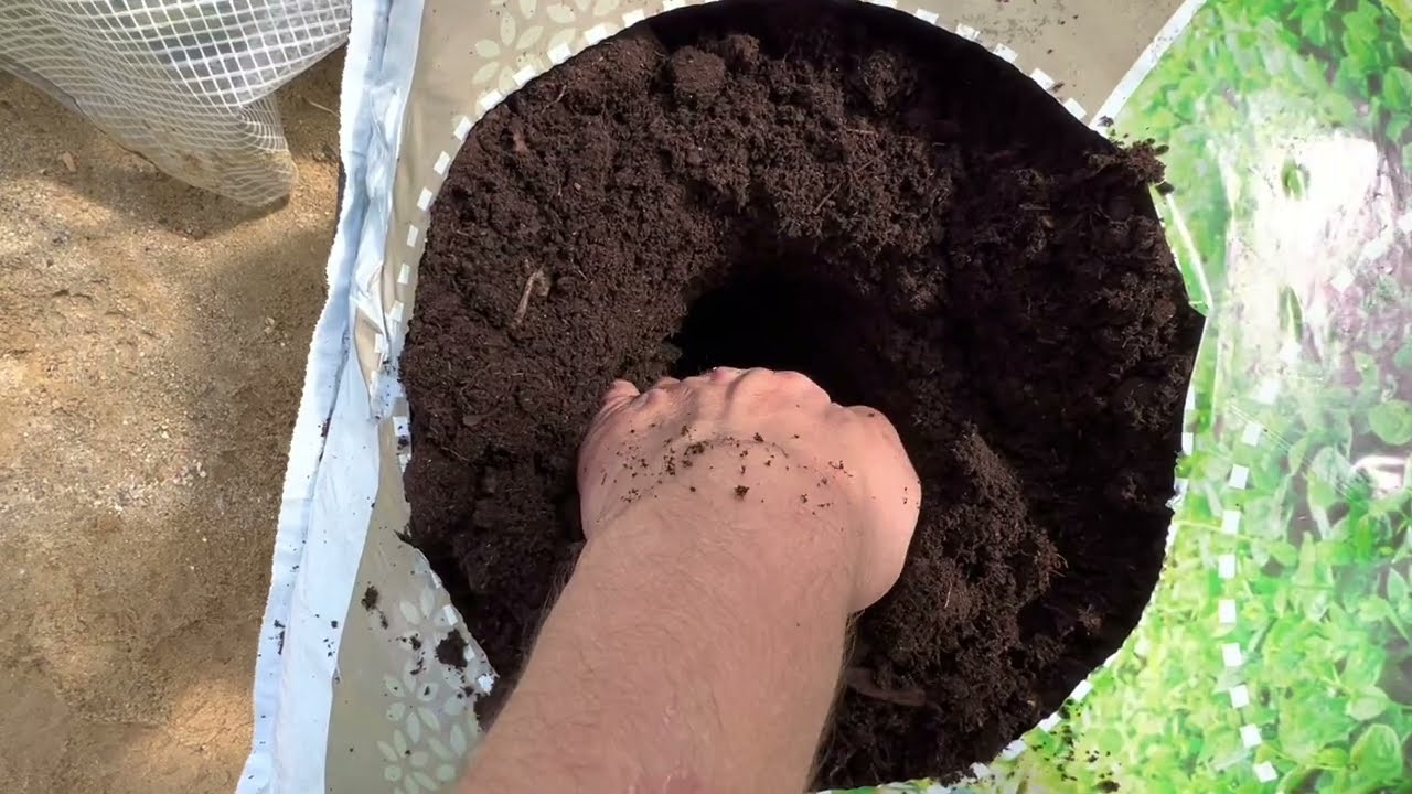 چاندنی خەیار و تەماتە🍅 دوور لە بابەتی فۆتۆگرافیە😀