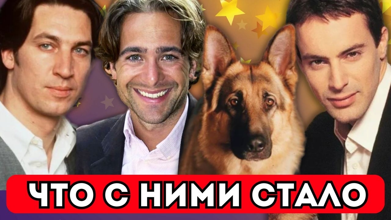 Тайны и Факты о всех комиссарах и Рексе