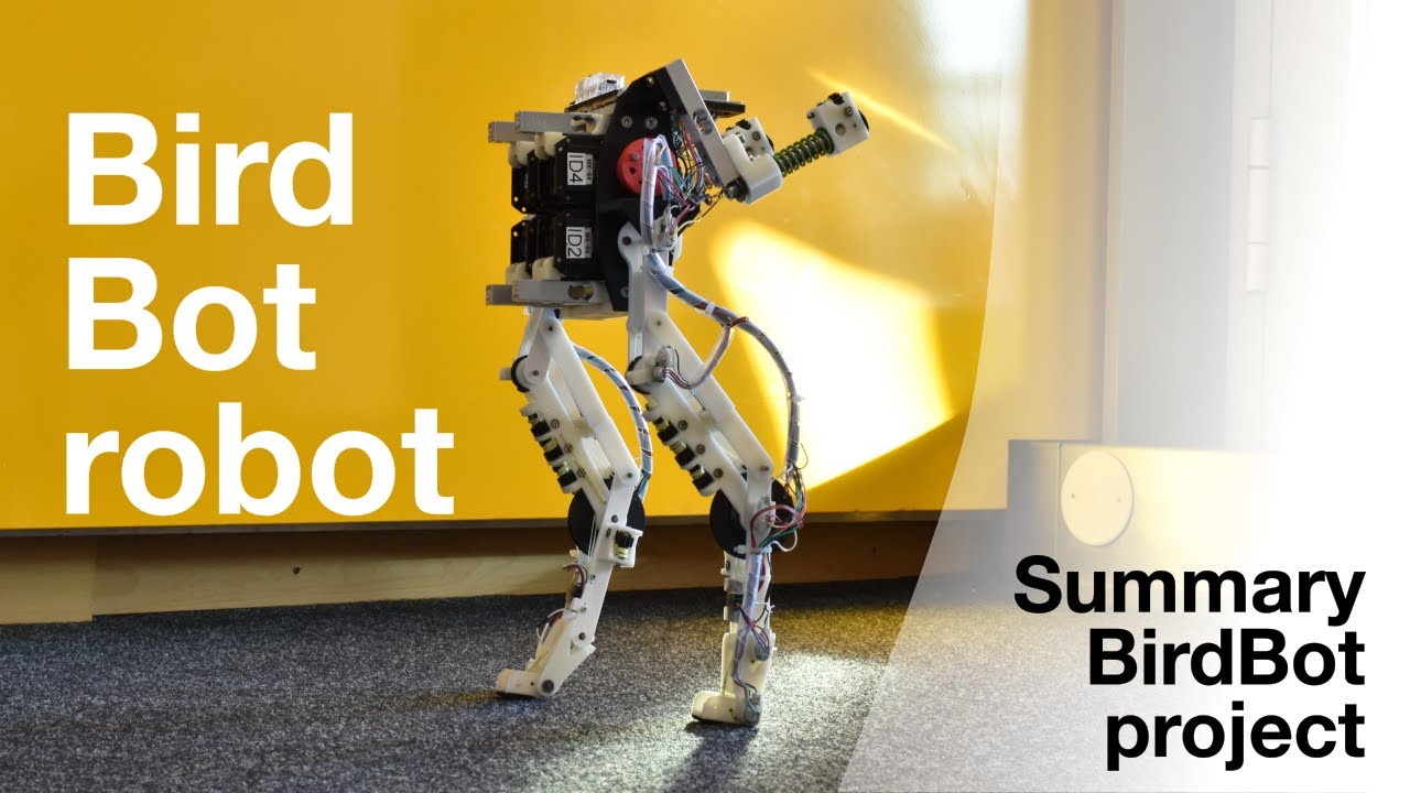 BirdBot, an energy-efficient robot leg inspired by birds' legs