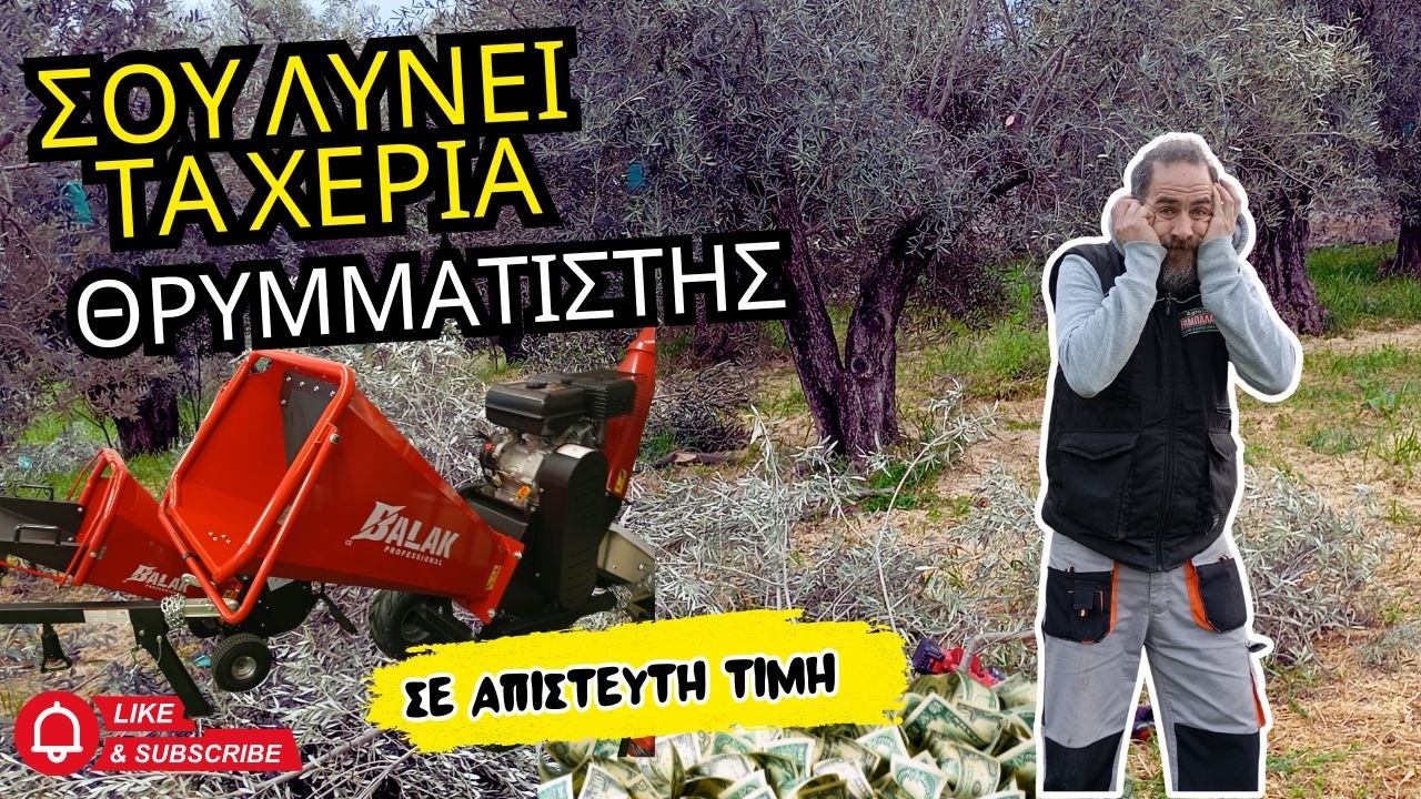 &Kappa;&Lambda;&Alpha;&Delta;&Epsilon;&Mu;&Alpha; &Epsilon;&Lambda;&Iota;&Alpha;&Sigma; & &Delta;&Iota;&Alpha;&Chi;&Epsilon;&Iota;&Rho;&Iota;&Sigma;&Eta; | &Theta;&Rho;&Upsilon;&Mu;&Mu;&Alpha;&Tau;&Iota;&Sigma;&Tau;&Eta;&Sigma;: &Eta; &Lambda;&Upsilon;&Sigma;&Eta; &Mu;&Epsilon;&Tau;&Alpha; &Tau;&Omicron; &Kappa;&Lambda;&Alpha;&Delta;&Epsilon;&Mu;&Alpha; #&mu;&alpha;&theta;&alpha;ί&nu;&omicron;&nu;&tau;&alpha;&sigma;_&gamma;&iota;&alpha;_&tau;&eta;&nu;_&epsilon;&lambda;&iota;ά #olives