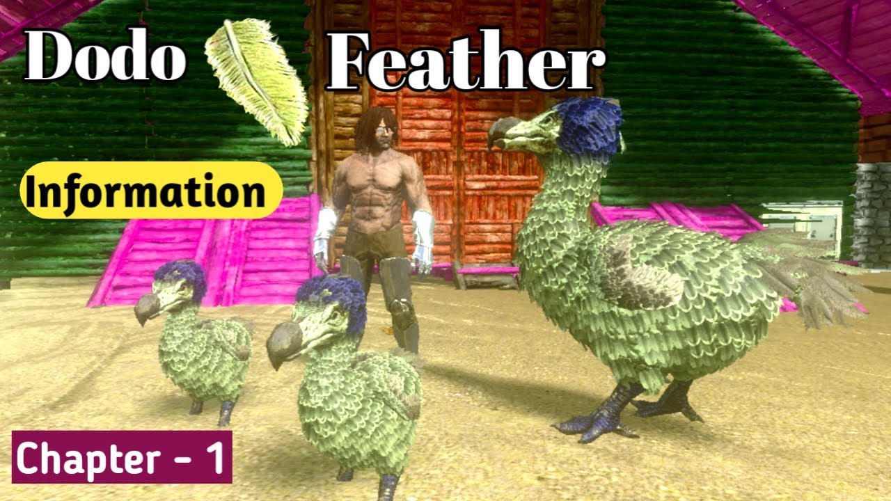 How To Collect Dodo Feather In ARK Mobile | Information | Chapter 1 | Hindi