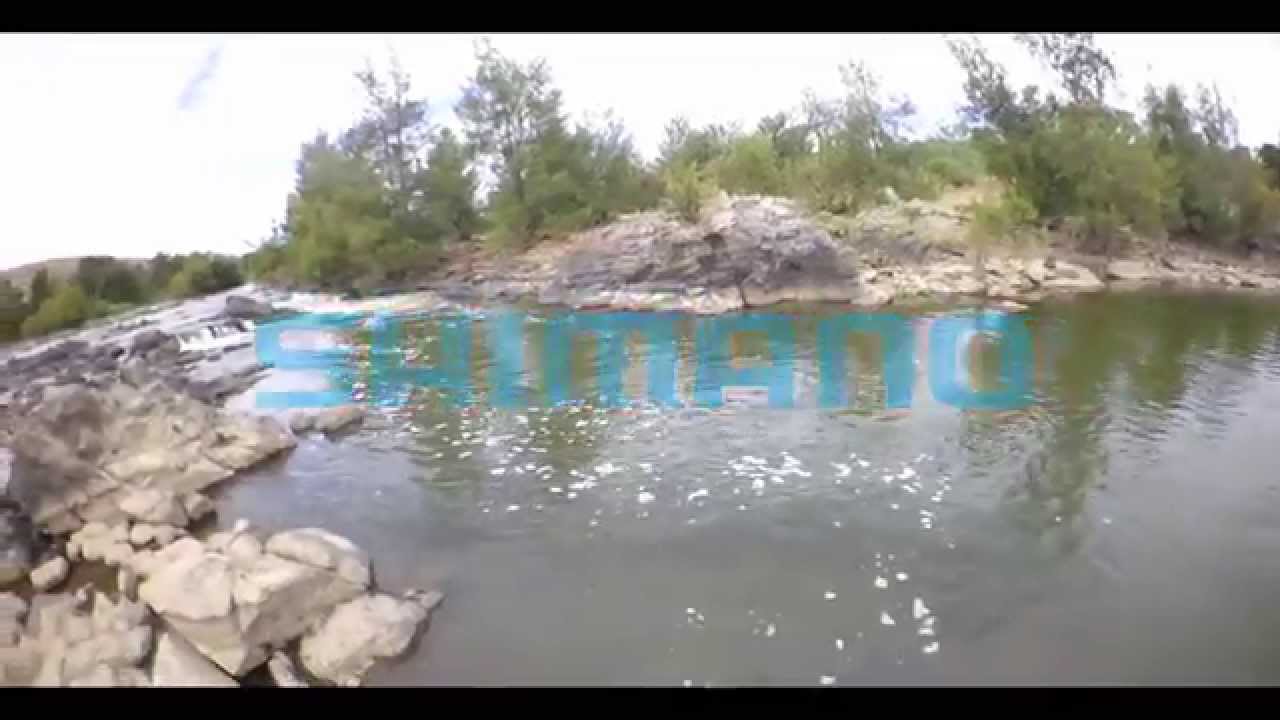 Freshwater Lurecasting