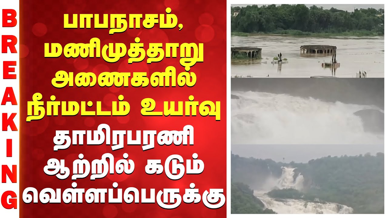 Dam | பாபநாசம், மணிமுத்தாறு அணைகளில் நீர்மட்டம் உயர்வு - தாமிரபரணி ஆற்றில் கடும் வெள்ளப்பெருக்கு