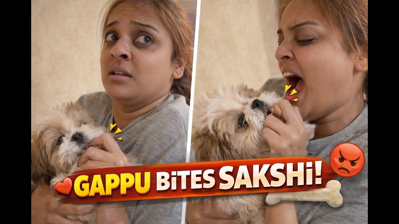 Love Ya Attack? 😂 | Shih Tzu Puppy Bites Sakshi