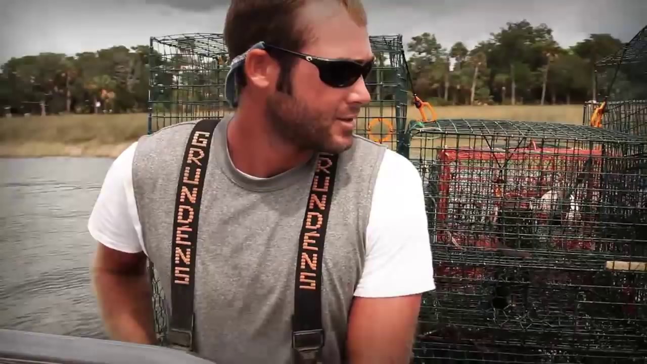 Season of the Crab blue crabs - part 2