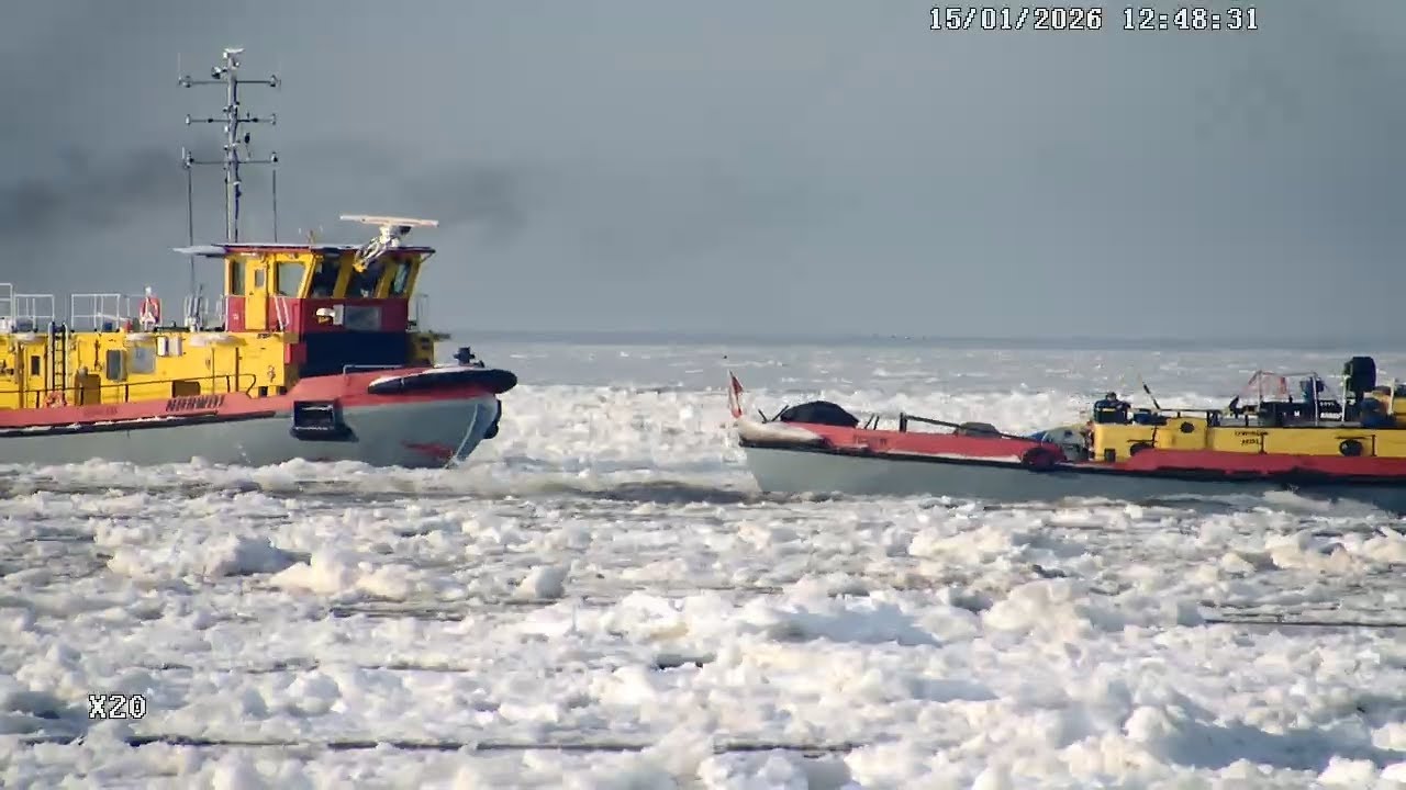 Lodołamacze ujście Wisły - Rezerwat "Mewia Łacha". Zobacz 15.01.2026