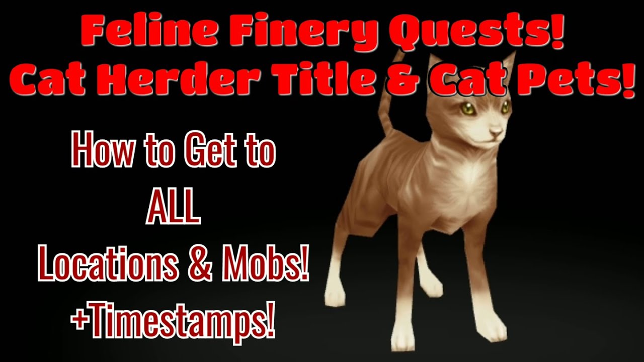 AQ3D Feline Finery Quests! How To Get To All Mobs & Locations! Cat Pets! Cat Herder Title!