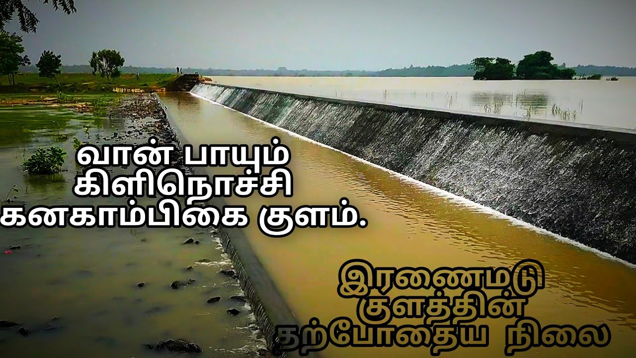 Kilinochchi kannakampikai tank and Iranaimadu tank current situation. #iranaimadu #kannakampikai