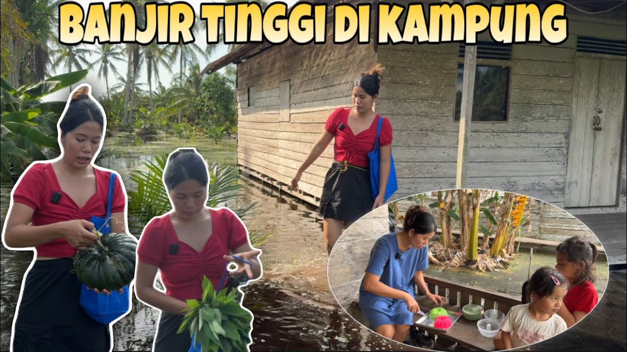 BANJIR TINGGI,SEMUA TANAMAN YANG AKU TANAM LAYU SEMUA😭