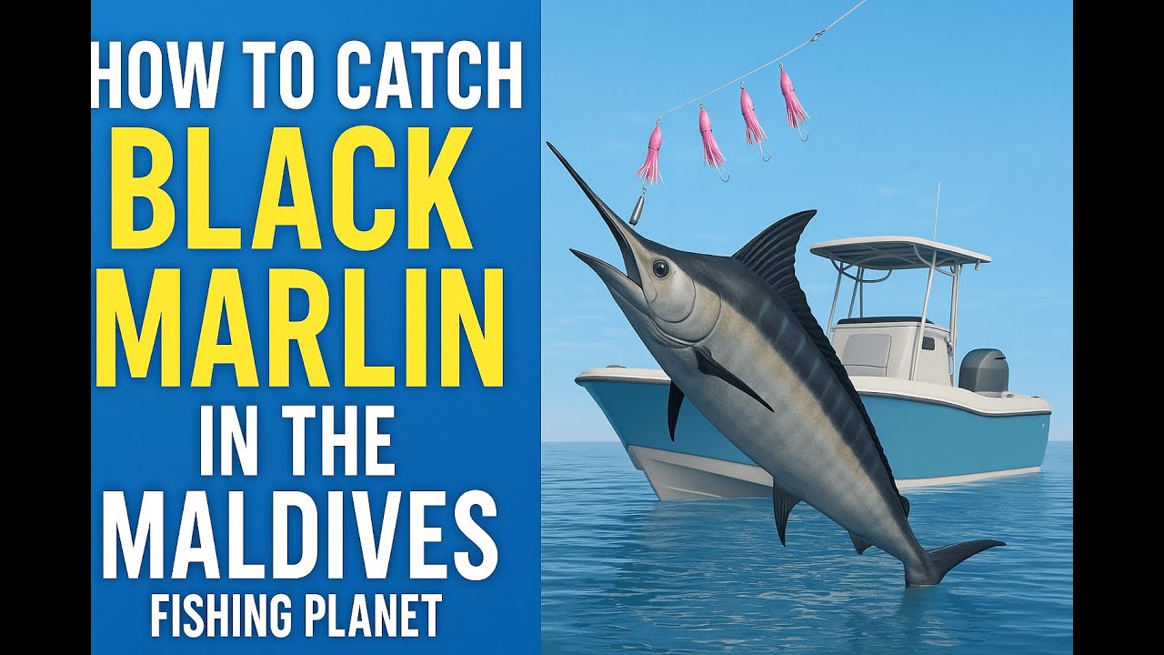 How to Catch Black Marlin on Noomaa Kuda Atholhu &ndash; Fishing Planet Guide