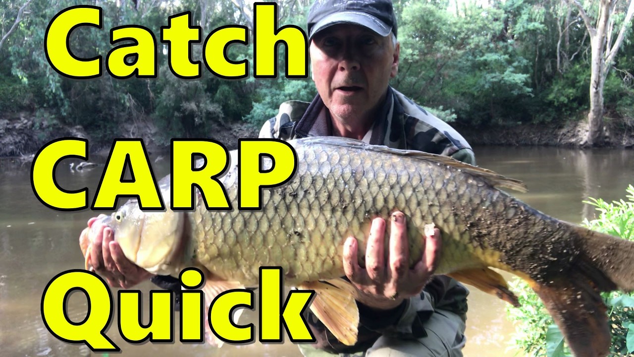 Big CARP Tactics - land more fish faster