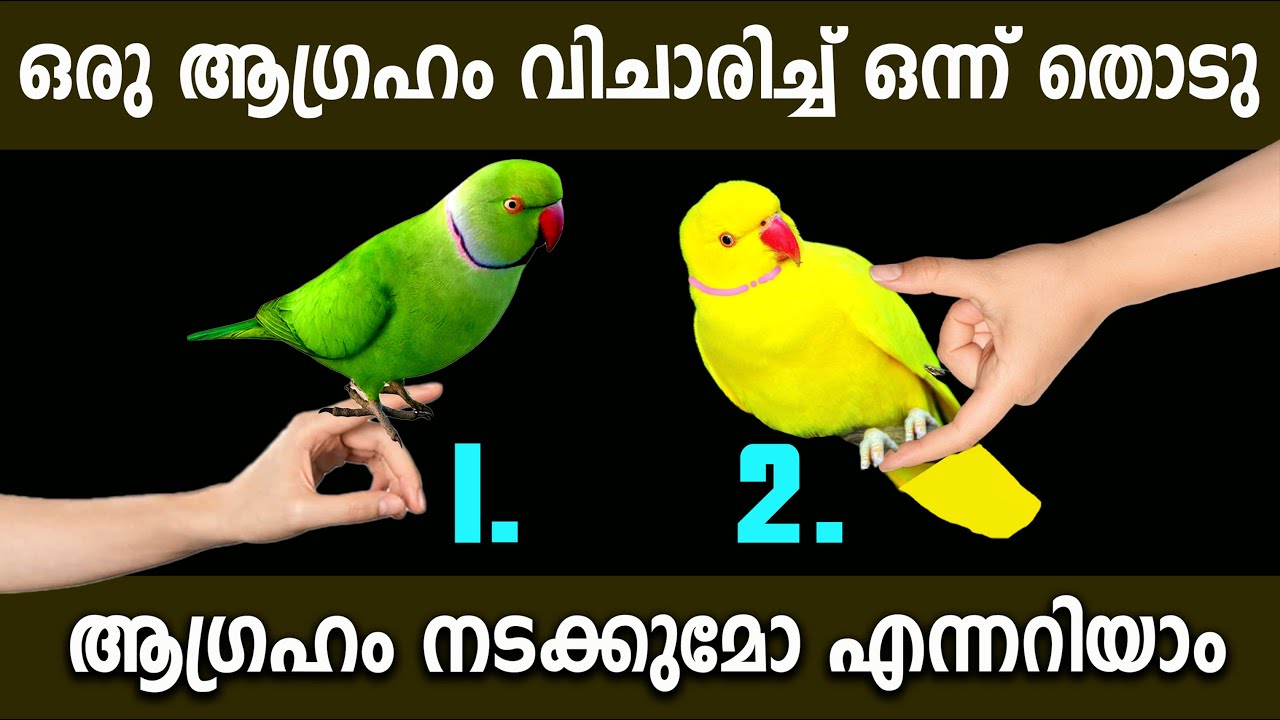 മനസ്സിലെ ആഗ്രഹം നടക്കുമോ?എപ്പോൾ നടക്കും കൃത്യമായി പറയും,thodukuri,astrology,prediction, തൊടുകുറി