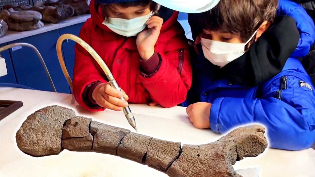 Dani y Evan descrubren HUESOS de DINOSAURIOS en el TALLER del PALEONTOLOGO