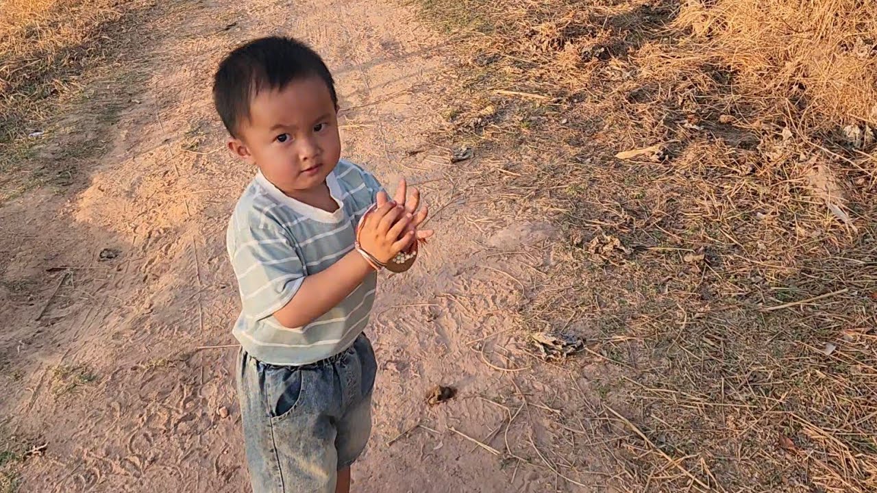 ธันวาน้อย​ไล่วัวเข้าคอกซอยแม่ย่า